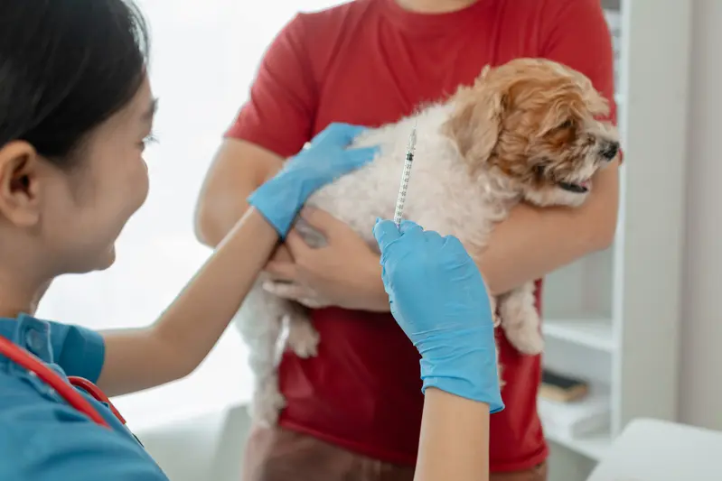 Vétérinaire en blouse bleue administrant un vaccin à un petit chien tenu par son propriétaire en t-shirt rouge.