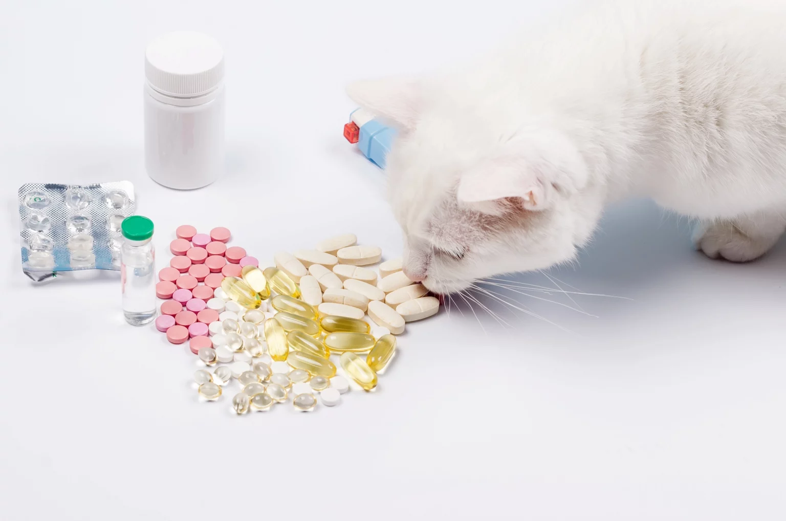 Une variété de suppléments et de vitamines pour animaux disposés sur une surface blanche, avec un chat blanc reniflant curieusement un amas de comprimés roses, blancs, et des gélules translucides remplies d'huile.